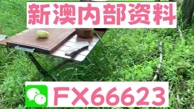 新澳内部一码精准公开,精选资料解析大全