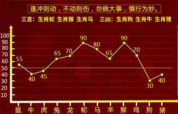 精准一肖一码100,最佳精选解释落实