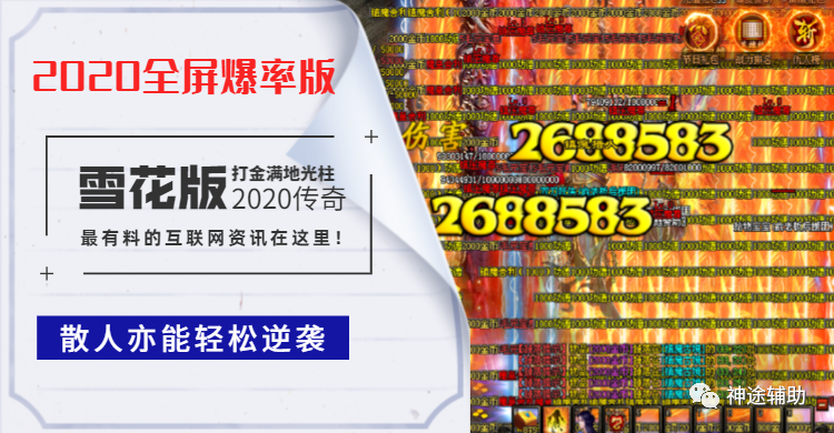 2924新澳正版免费资料大全,精选解释解析落实