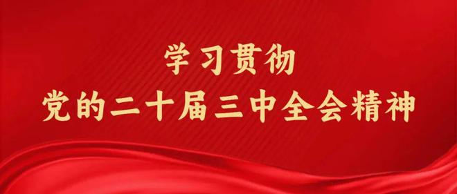 探索澳门福彩公益网，2024-2025新澳门正版资料免费大全与最佳精选解释落实