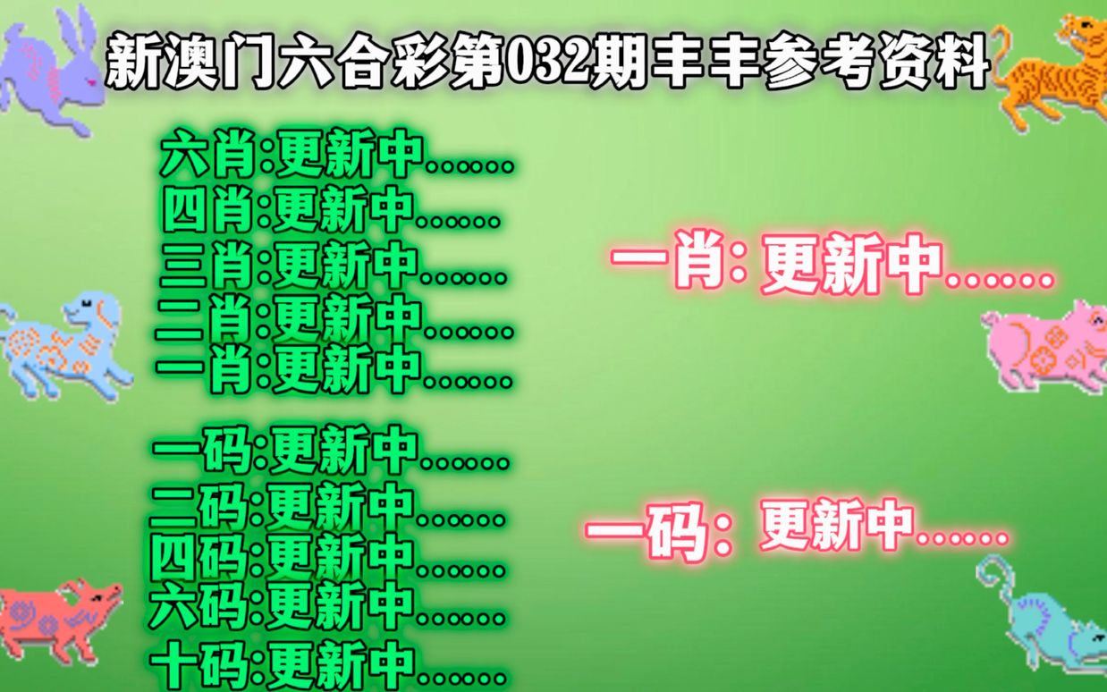 澳门精准一肖一码一一中，最佳精选解释与落实