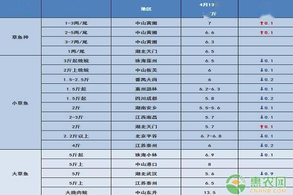 最新草鱼价格动态分析