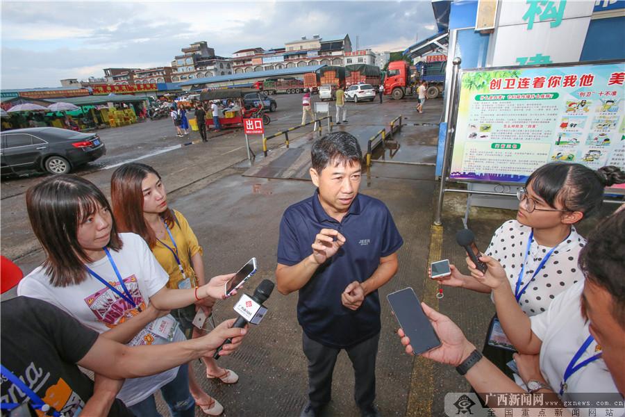 田阳最新新闻报道