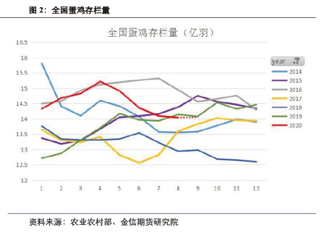 北京最新鸡蛋价格的波动与影响因素分析