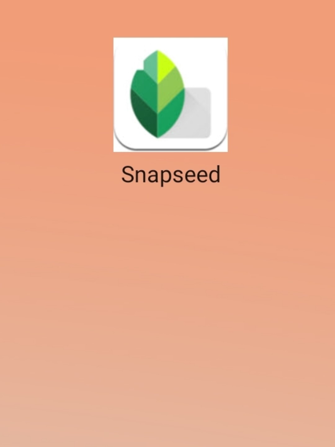 Snapseed官网最新更新及功能解析