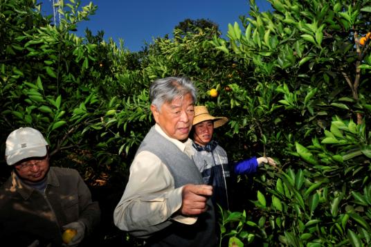 最新的网页传奇，探索数字世界的无限魅力