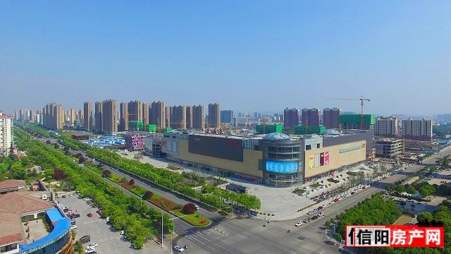 信阳楼市最新动态，市场趋势、政策影响及未来展望