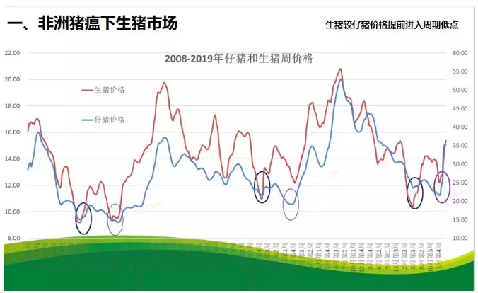 最新生猪价格预测，趋势分析与未来展望