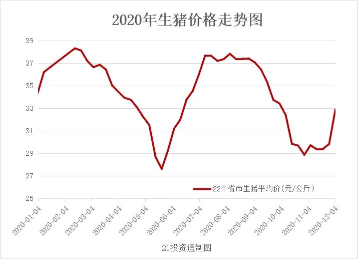 滕州生猪价格最新行情分析